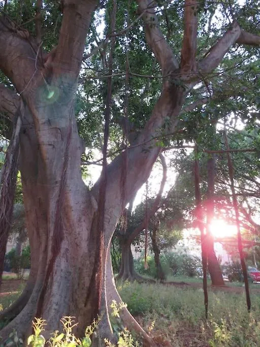 Relax Nel Verde- Giodapi Palm Παλέρμο 0*,  Ιταλία